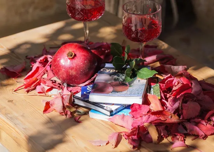 Elinn Traditional Otel Kathikas