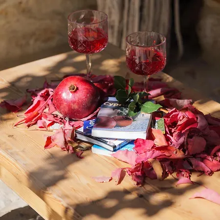 Elinn Traditional Hotel Kathikas